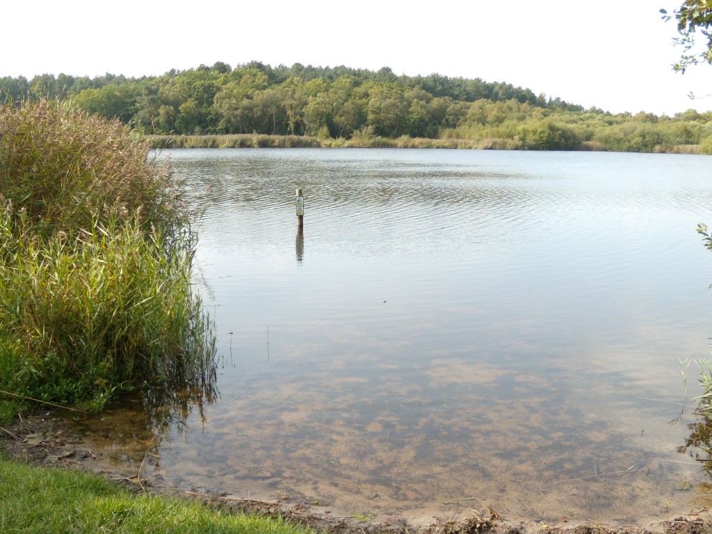 Hatchmere Lake, Cheshire Sept 2015